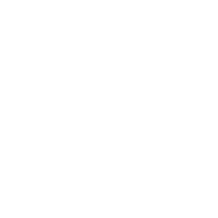 Smith Robinson